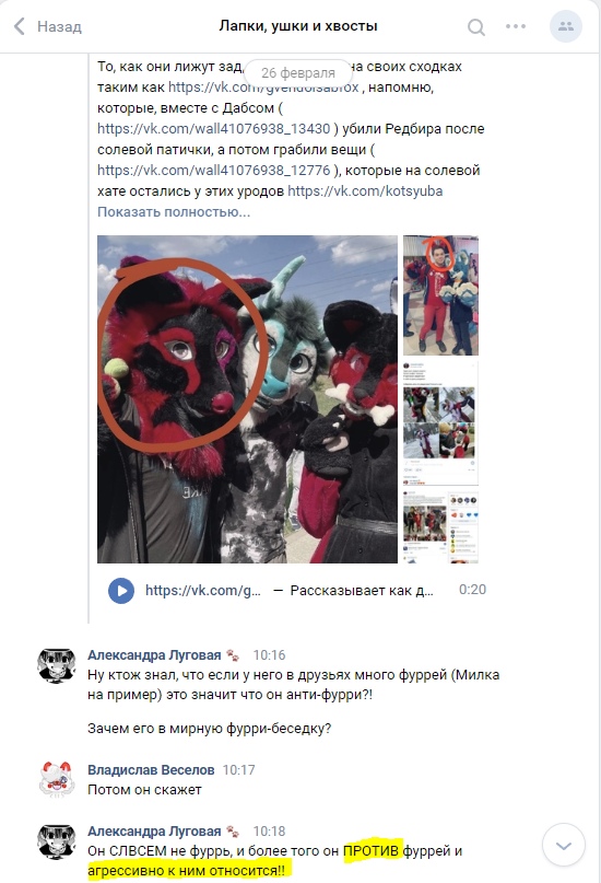 📋 ВКонтакте чат «Лапки, ушки и хвосты» (продолжение 26 февраля): текст о связях с Дабсом, «убили Редбира после солевой патички»; фотография двух фурсьютов (красный дьявол и синий) с красным кружком выделения; Александра Луговая «Ну кто знал, что если у него в друзьях много фуррей (Милка на пример) это значит что он анти-фурри?!» 10:16; Александра Луговая «Он СЛВСЕМ не фурь, и более того он ПРОТИВ фуррей и агрессивно к ним относится!» (выделено жёлтым) 10:18.