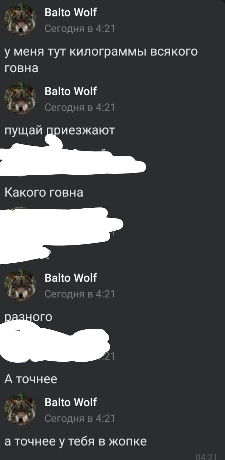 📋 Переписка ВКонтакте, тёмная тема, 4:21: Balto Wolf, часть замазана белым; видимые реплики — «у меня тут килограммы всякого говна», «пущай приезжают», «разного», «а точнее у тебя в жопке».