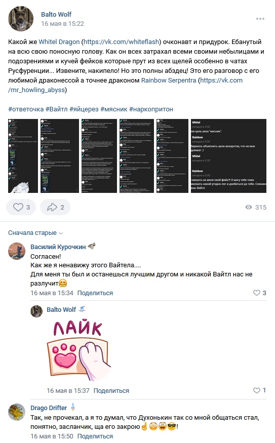📋 ВКонтакте, пост Balto Wolf (16 мая в 15:22): пост с оскорблениями «Whitel Dragon» (vk.com/whiteflash); хэштеги #ответочка #Вайтл #яйцерез #мясник #наркопритон; Василий Курочкин: «Как же я ненавижу этого Вайтела»; Drago Drifter: «Засланник, ща его закрою».