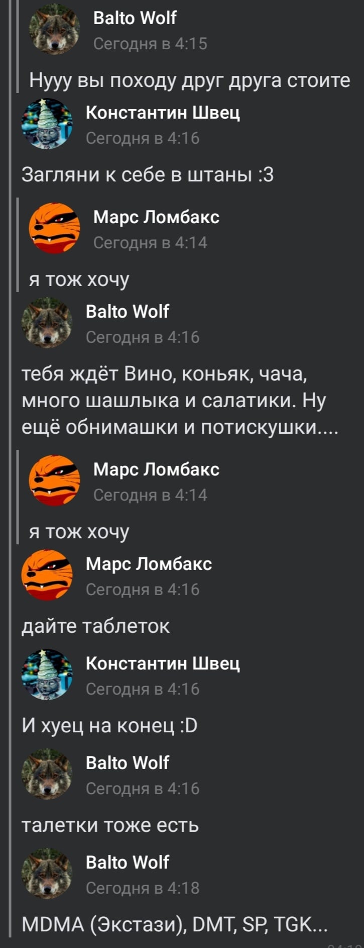 📋 Переписка ВКонтакте, тёмная тема, ~4:15–4:18: участники Balto Wolf, Константин Швец, Марс Ломбакс; Balto Wolf перечисляет: «MDMA (Экстази), DMT, SP, TGK...».