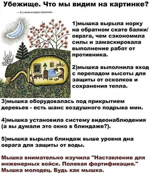 📋 Иллюстрация из детской книги (мышка в норке) с военным разбором: «Убежище. Что мы видим на картинке? — А у меня в норке спаленка. 1) мышка вырыла норку на обратном скате балки/оврага, чем сэкономила силы и замаскировала выполнение работ от противника. 2) мышка выполнила вход с перепадом высоты для защиты от осколков и сохранения тепла. 3) мышка оборудовалась под прикрытием деревьев — есть шанс воздушного подрыва мин. 4) мышка установила систему видеонаблюдения (а вы думали это окно в блиндаже?). 5) мышка вырыла блиндаж выше уровня дна оврага для защиты от воды. Мышка внимательно изучила «Наставление для инженерных войск. Полевая фортификация.» Мышка молодец. Будь как мышка.»