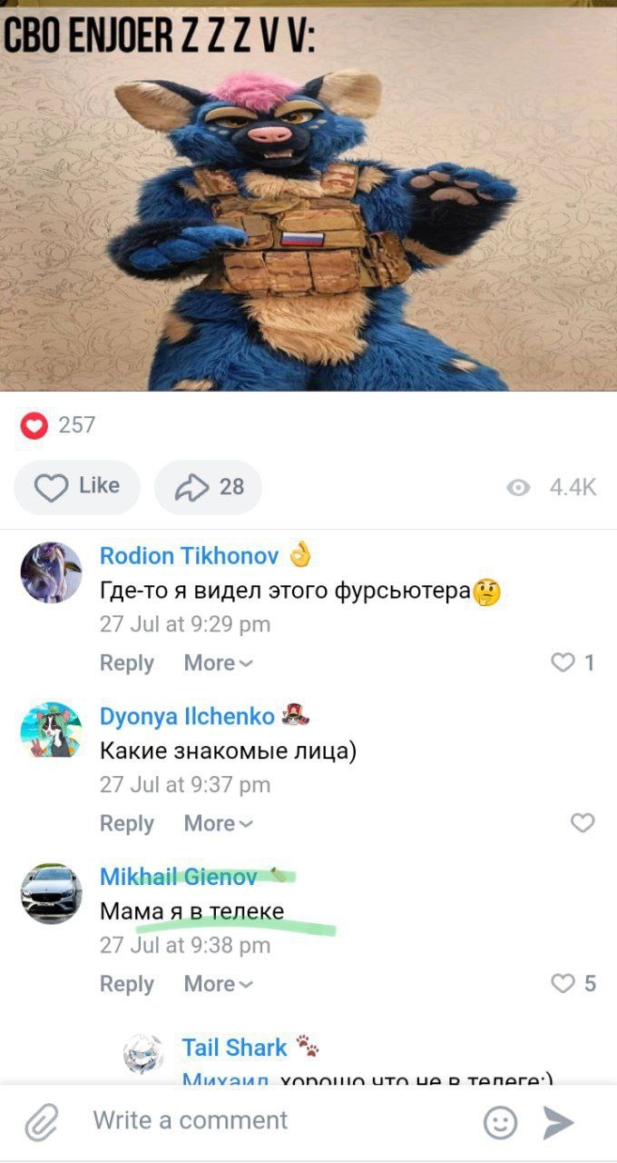 📋 Публикация «СВО ENJOER Z Z Z V V:»: фото синего антропоморфного персонажа в военной сбруе с флажком России; «Rodion Tikhonov»: «Где-то я видел этого фурсьютера»; «Mikhail Gienov»: «Мама я в телеке»; 257 👍, 4.4K просмотров.