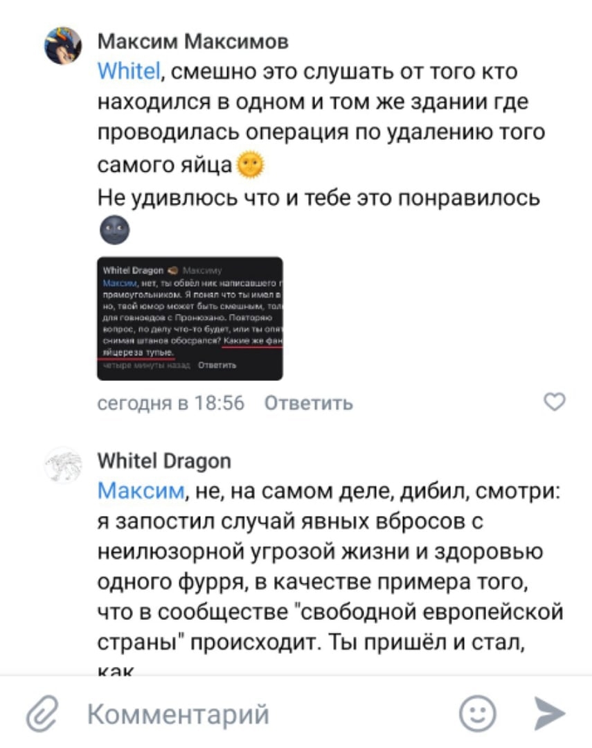 📋 ВКонтакте, Максим Максимов ответил Whitel (18:56): «Whitel, смешно это слушать от того кто находился в одном и том же здании где проводилась операция по удалению того самого яйца. Не удивлюсь что и тебе это понравилось»; Whitel Dragon начинает ответ.