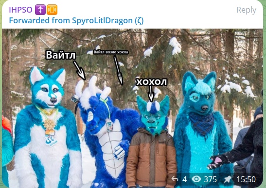 📋 Telegram «IHPSO 🔊🎬 Forwarded from SpyroLitlDragon (ζ)»: фото группы фурри; стрелки с подписями «Вайтл», «Вайтл возле хохла» и «хохол»; просмотры 375, 15:50.