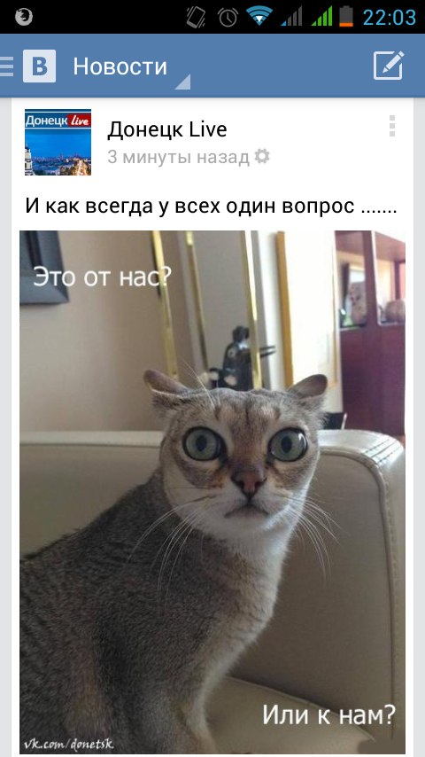 Скриншот приложения ВКонтакте: пост паблика «Донецк Live» с подписью «И как всегда у всех один вопрос.......»; мем — испуганный кот с вытаращенными глазами и подписями «Это от нас?» и «Или к нам?» — намёк на звуки взрывов в Донецке