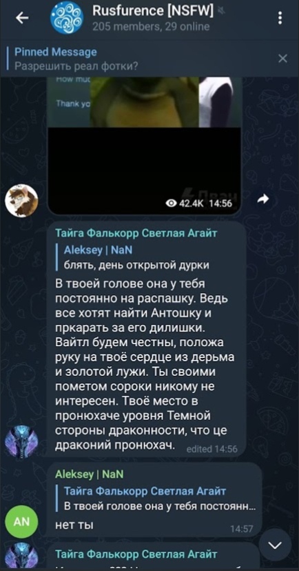 📋 Telegram «Rusfurence [NSFW]» (205 участников, 29 онлайн): Тайга Фалькорр (цитируя AN «блять, день открытой дурки»): «В твоей голове она у тебя постоянно на распашку. Ведь все хотят найти Антошку... Твоё место в пронюхаче уровня Тёмной стороны драконности... Твоё место в пронюхаче... А не Белый Дракон...» (14:56, edited); Aleksey | NaN: «нет ты» (14:57).