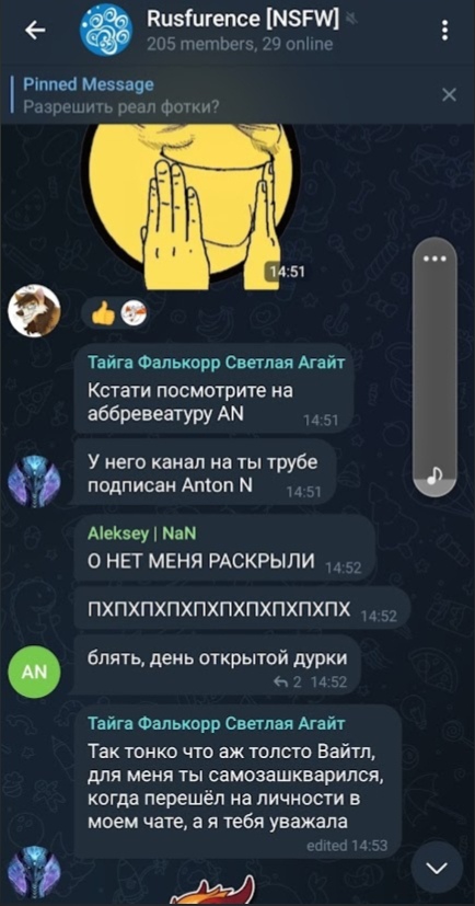 📋 Telegram «Rusfurence [NSFW]» (205 участников, 29 онлайн): Тайга Фалькорр Светлая Агайт: «Кстати посмотрите на аббревеатуру AN» (14:51); «У него канал на ты трубе подписан Anton N» (14:51); Aleksey | NaN: «О НЕТ МЕНЯ РАСКРЫЛИ» / «ПХПХПХПХПХПХПХПХ» (14:52); AN: «блять, день открытой дурки» (14:52); Тайга: «Так тонко что аж толсто Вайтл, для меня ты самозашкварился, когда перешёл на личности в моем чате, а я тебя уважала» (14:53, edited).