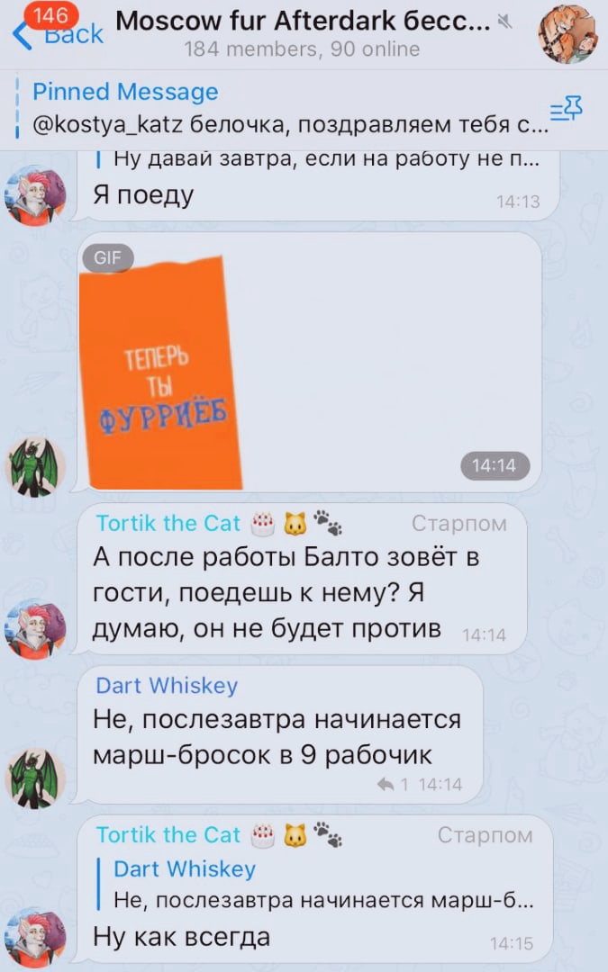 📋 Telegram, «Moscow fur Afterdark бесс...» (184 участника, 90 онлайн): GIF «ТЕПЕРЬ ТЫ ФУРРИЁВ»; Tortik the Cat (Старпом, 14:14) — «А после работы Балто зовёт в гости, поедешь к нему? Я думаю, он не будет против»; Dart Whiskey (14:14) — «Не, послезавтра начинается марш-бросок в 9 рабочий»; Tortik — «Ну как всегда» (14:15).