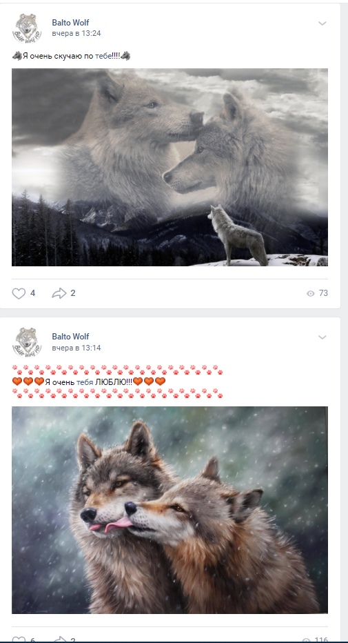 📋 ВКонтакте «Balto Wolf»: посты «🐺 Я очень скучаю по тебе!!!!» и «Я очень тебя ЛЮБЛЮ!!!!» с артами двух волков.
