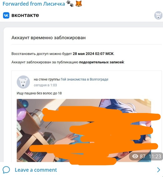 📋 Telegram «Forwarded from Лисичка 🐾🦊»; скриншот ВКонтакте: «Аккаунт временно заблокирован. Восстановить доступ можно будет 28 мая 2024 02:07 МСК. Аккаунт заблокирован за публикацию подозрительных записей»; запись на стене группы «Гей знакомства в Волгограде» (01:03): «Ищу пацана без волос до 18»; изображение закрашено оранжевым; просмотры: 87, 11:23.