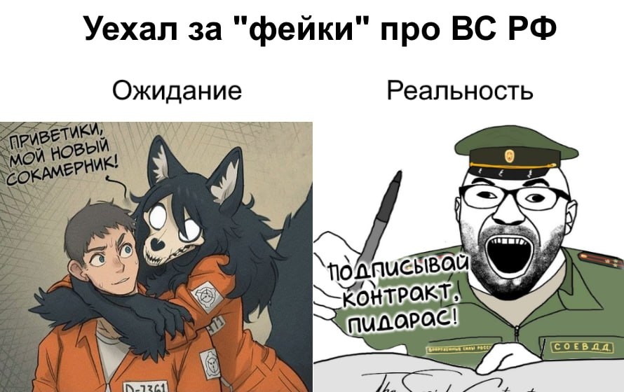🖼️ Мем «Уехал за «фейки» про ВС РФ»: слева (ожидание) — аниме-персонаж в тюремном комбинезоне и волк-фурри с лапой на плече: «Приветики, мой новый сокамерник!»; справа (реальность) — рисованный военком в фуражке: «Подписывай контракт. Пидарас!»; нашивка «СОБЪДА».