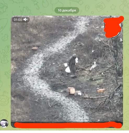 📋 Скриншот видео (01:00) в Telegram, «10 декабря»: вид с беспилотника — выжженное/мокрое поле с тропинками; одиночный человек стоит на поле; угол кадра прикрыт красным стикером Дед Мороза.
