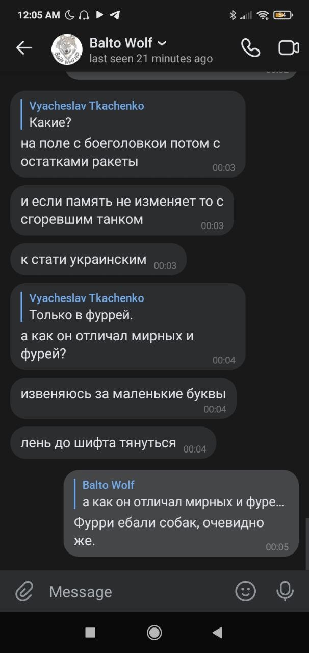 📋 Telegram «Balto Wolf»: Vyacheslav Tkachenko: «на поле с боеголовкой... с остатками ракеты... с сгоревшим украинским танком»; Balto Wolf: «Фурри ебали собак, очевидно же.»