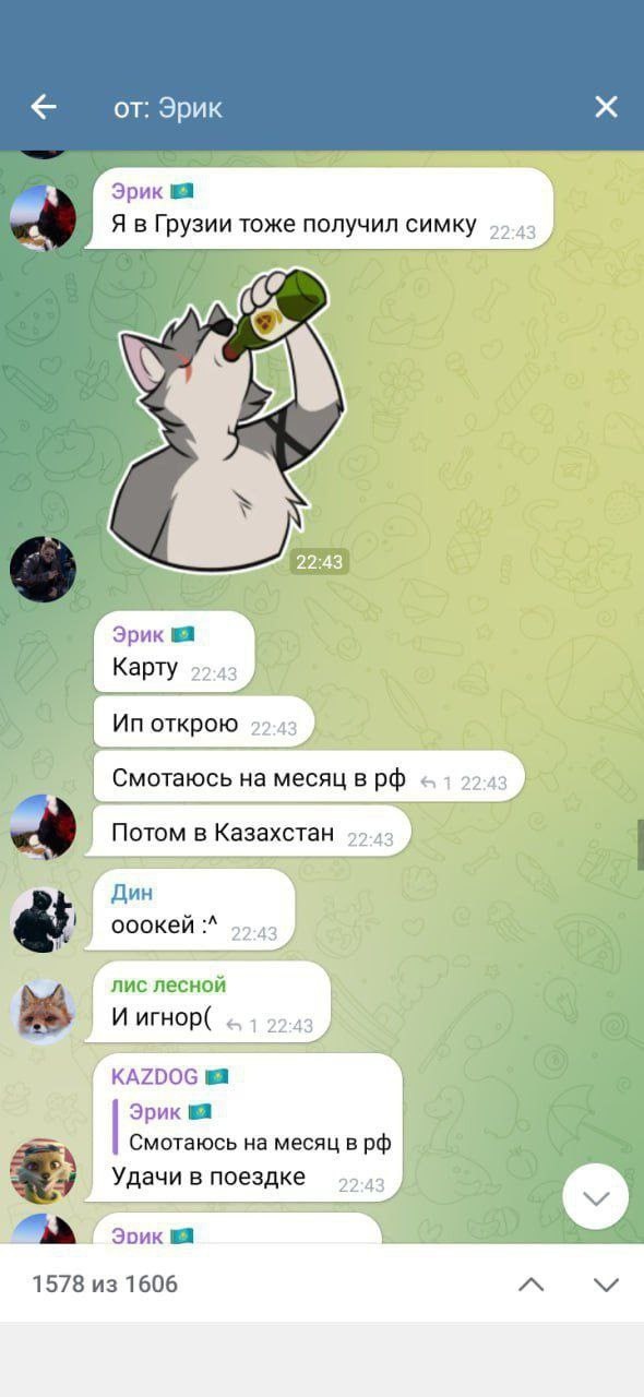 📋 Telegram, чат «от: Эрик» (22:43): «Я в Грузии тоже получил симку. Карту. Ип открою. Смотаюсь на месяц в рф. Потом в Казахстан»; ответы: «Дин: ооокей :^»; «лис лесной: И игнор(»; «KAZDOG: Удачи в поездке».