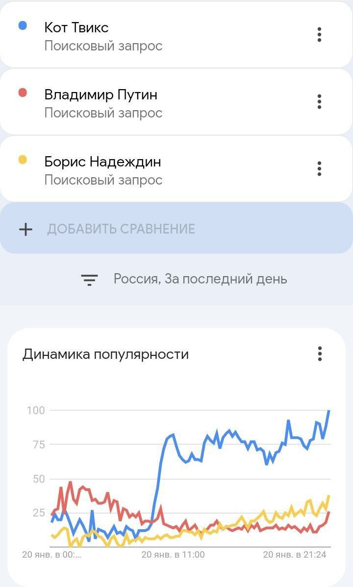 📋 Google Trends: сравнение запросов в России за последний день (20 января) — «Кот Твикс» (синий), «Владимир Путин» (красный), «Борис Надеждин» (жёлтый); график «Динамика популярности» — «Кот Твикс» резко растёт к вечеру до ~100, «Борис Надеждин» до ~30, «Владимир Путин» падает до ~25.