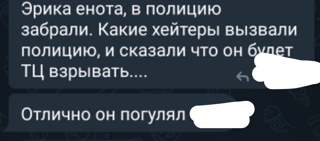📋 Telegram: «Эрика енота, в полицию забрали. Какие хейтеры вызвали полицию, и сказали что он булет ТЦ взрывать....» + «Отлично он погулял [цензура]».