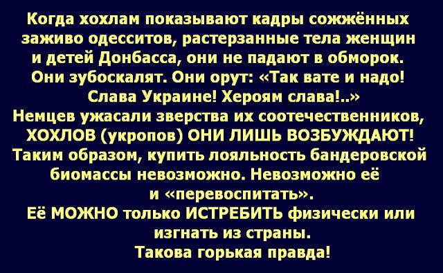 Скриншот пропагандистского текста 2014 года: жёсткая риторика о «хохлах», «бандеровской биомассе», одесских событиях и жителях Донбасса — белый текст на тёмно-синем фоне