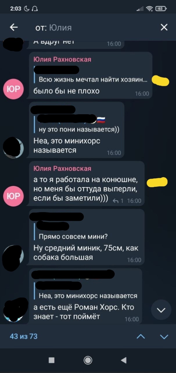 📋 Переписка «ОТ: Юлия» (2:03): упоминание лошади, отношения, жёлтые выделения сообщений.