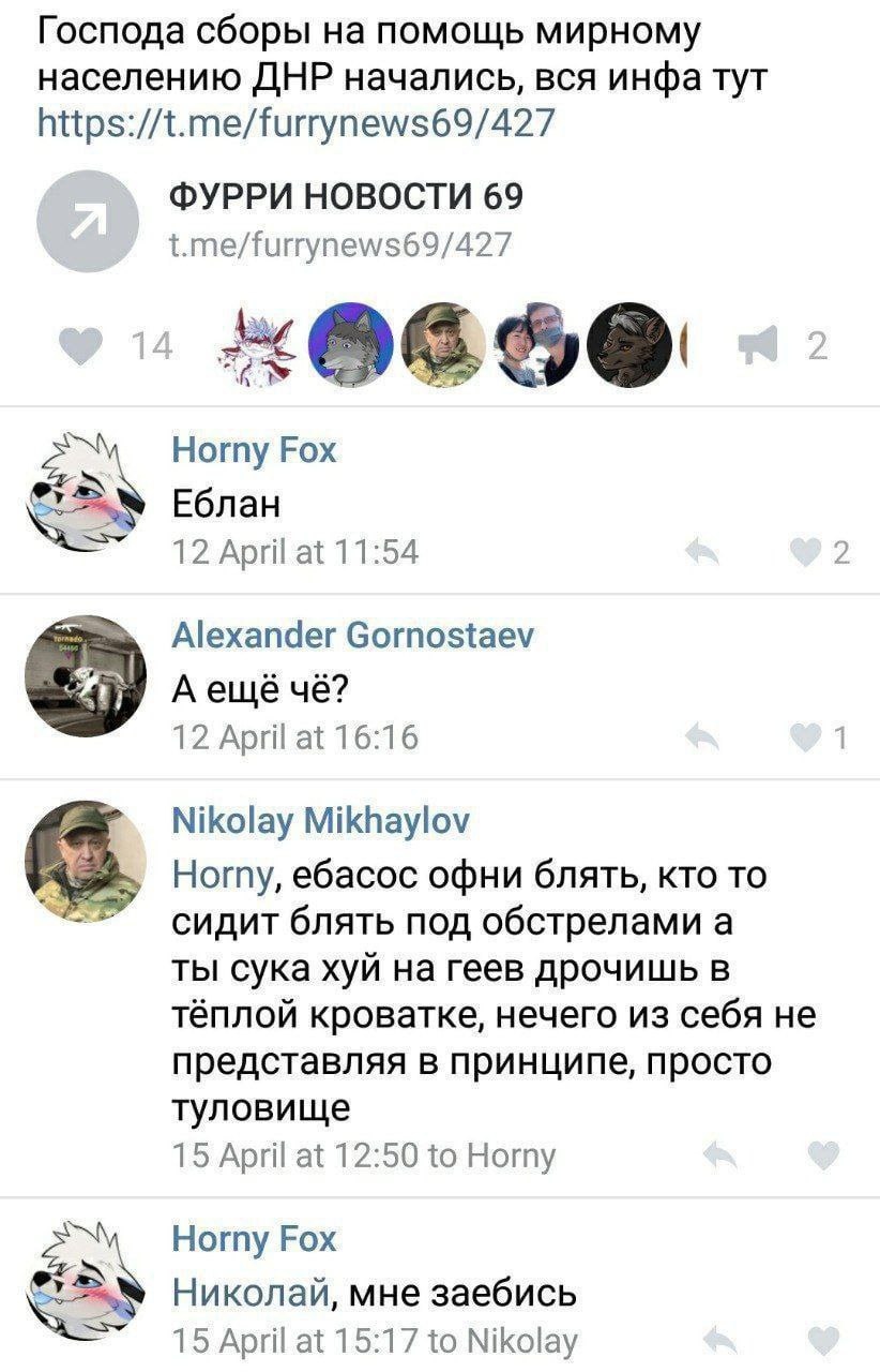 📋 ВКонтакте: перепост записи «ФУРРИ НОВОСТИ 69» (t.me/furrynews69/427): «Господа сборы на помощь мирному населению ДНР начались, вся инфа тут https://t.me/furrynews69/427». Комментарии: Horny Fox — «Еблан» (12 April 11:54, 2 лайка); Alexander Gornostaev — «А ещё чё?» (12 April 16:16, 1 лайк); Nikolay Mikhaylov — «Horny, ебасос офни блять, кто то сидит блять под обстрелами а ты сука хуй на геев дрочишь в тёплой кроватке, нечего из себя не представляя в принципе, просто туловище» (15 April 12:50); Horny Fox — «Николай, мне заебись» (15 April 15:17).