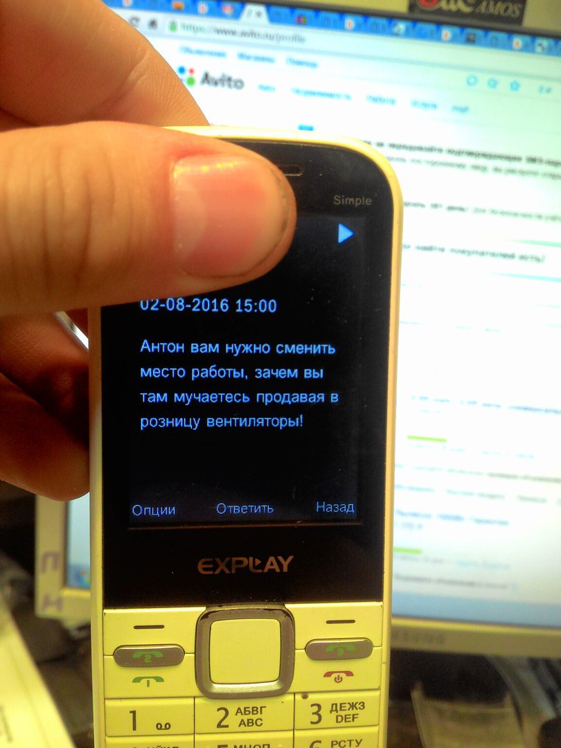 Фото телефона Explay Simple в руке (надпись «Simple» на корпусе): на экране SMS от 02-08-2016 15:00 — «Антон вам нужно сменить место работы, зачем вы там мучаетесь продавая в розницу вентиляторы!»; внизу кнопки «Опции | Ответить | Назад»; на заднем плане ноутбук с открытым сайтом Авито