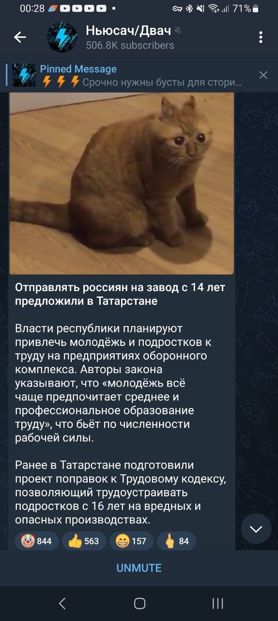 📋 Telegram «Ньюсач/Двач» (506.8K subscribers): фото рыжего кота; текст «Отправлять россиян на завод с 14 лет предложили в Татарстане» — о планах привлечь молодёжь к труду на оборонных предприятиях; поправки к Трудовому кодексу о трудоустройстве подростков с 16 лет на вредных производствах; 844🔥, 563👍.