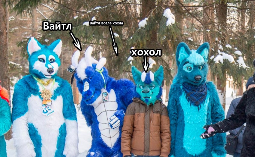 📷 Зимняя фотография четырёх фурсьютеров на снегу на фоне елей. Подписи-стрелки: «Вайтл» (бело-голубой волк/хаски), «Вайтл возле хохла» (синий дракон), «хохол» (человек без костюма в куртке), четвёртый — бирюзовый зверь.