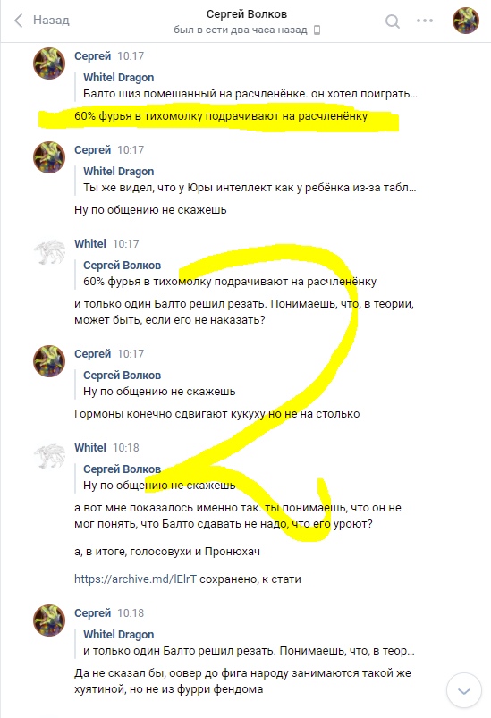 📋 Продолжение переписки Sergey Volkov и Whitel Dragon: жёлтые выделения — рассуждения о характере и мышлении.