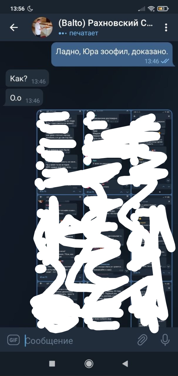 📋 Telegram «(Balto) Рахновский С...»: «Ладно, Юра зоофил, доказано.» — «Как?» — «О.о»; внизу заблюренное изображение.