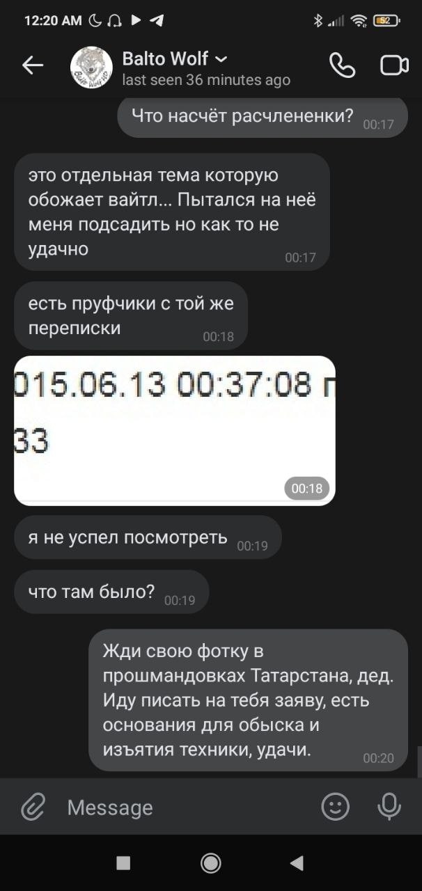 📋 Telegram «Balto Wolf»: Balto Wolf: «Жди свою фотку в прошмандовках Татарстана, дед. Иду писать на тебя заяву, есть основания для обыска и изъятия техники, удачи.»