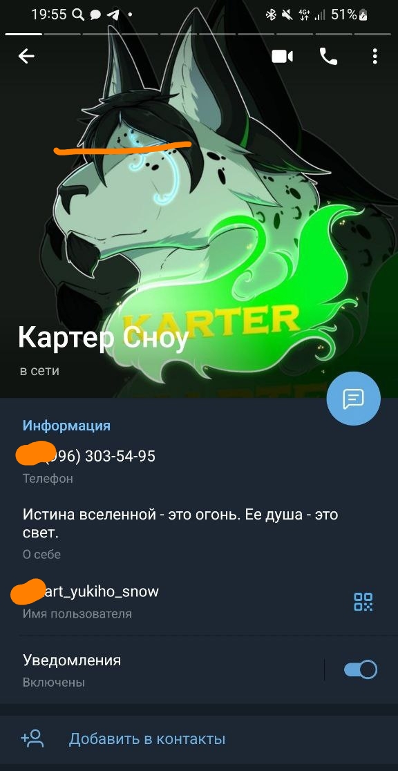 📋 Telegram, профиль «Картер Сноу» (19:55, в сети): аватар — арт серо-зелёного фурри-волка с зелёными огнями и надписью «KARTER»; телефон: [закрашено](96) 303-54-95; «О себе»: «Истина вселенной — это огонь. Ее душа — это свет.»; имя пользователя: [закрашено]art_yukiho_snow; уведомления включены.
