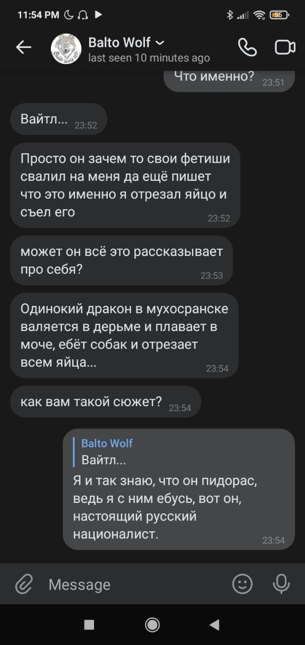 📋 Telegram «Balto Wolf»: Балто: «Просто он зачем то свои фетиши свалил на меня да ещё пишет что это именно я отрезал яйцо и съел его... Одинокий дракон в мухосранске... Я и так знаю, что он пидорас, ведь я с ним ебусь, вот он, настоящий русский националист.»