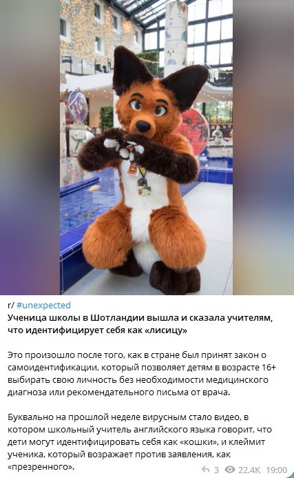 📋 Telegram «Переслано из ФУРРИ НОВОСТИ 69»: скриншот поста r/furry (r/ #unexpected) — фото фурсьюта рыжей лисы в выставочном зале; заголовок «Ученица школы в Шотландии вышла и сказала учителям, что идентифицирует себя как «лисицу»»; текст о законе о самоидентификации 16+; комментарий MOD AChewyLemon: «It's currently pride month.»; 326 лайков, 26 комментариев; русский текст: «Ломтик высказался на реддите по поводу того, что флаг украины убрали с аватарки треда... Чел в комментах: -Сейчас месяц для геев»; 2,4К просмотров.