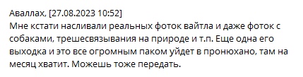 📋 Telegram: «Аваллах» [27.08.2023 10:52] — «Мне кстати насливали реальных фоток вайтла и даже фоток с собаками, трешесвязывания на природе и т.п. Ещё одна его выходка и это всё огромным паком уйдет в пронюхано, там на месяц хватит. Можешь тоже передать.»