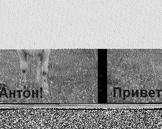 Чёрно-белое SSTV-изображение с сильным шумом: разделено на два поля, в левом — текст «Антон!», в правом — текст «Привет»