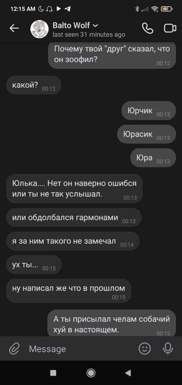 📋 Telegram «Balto Wolf»: «Юлька.... Нет он наверно ошибся или обдолбался гармонами»; «А ты присылал челам собачий хуй в настоящем.»