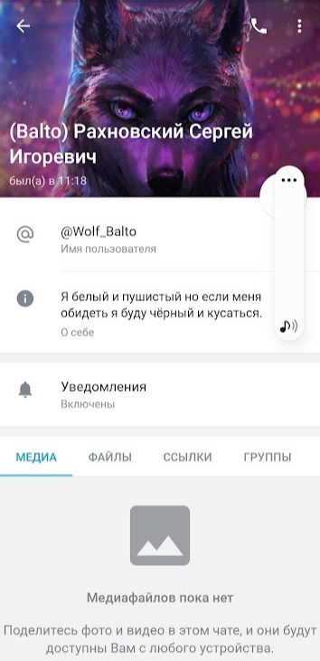 📋 Telegram, профиль (Balto) Рахновский Сергей Игоревич (@Wolf_Balto): «Я белый и пушистый но если меня обидеть я буду чёрный и кусаться.», был(а) в 11:18; аватар — светящийся фэнтезийный волк.