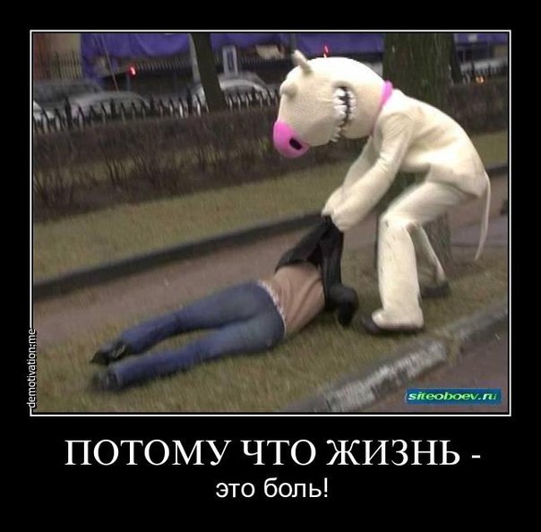 Демотиватор (demotivation.me, siteoboev.ru): фото на тёмном фоне — человек в костюме белой лошади/пони с розовым кляпом-мячом во рту наклонился и тянет за куртку другого человека, лежащего лицом вниз на газоне; подпись крупными буквами «ПОТОМУ ЧТО ЖИЗНЬ -» и мелко «это боль!»