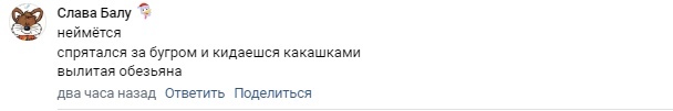 📋 ВКонтакте, комментарий «Слава Балу» (аватар: фурри-олень/лось с эмодзи): «неймётся / спрятался за бугром и кидаешься какашками / вылитая обезьяна / два часа назад [Ответить] [Поделиться]»