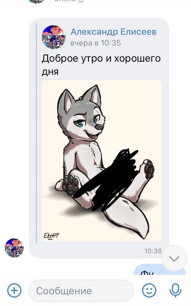 📋 Переписка ВКонтакте: «Александр Елисеев вчера в 10:35: Доброе утро и хорошего дня» — стикер с рисунком сидящего серого волчонка с голубыми глазами (части тела закрашены чёрным); «Фу».