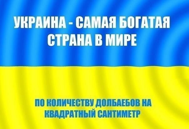 Мем на фоне сине-жёлтого украинского флага: «УКРАИНА — САМАЯ БОГАТАЯ СТРАНА В МИРЕ» / «ПО КОЛИЧЕСТВУ [бран. слово] НА КВАДРАТНЫЙ САНТИМЕТР»
