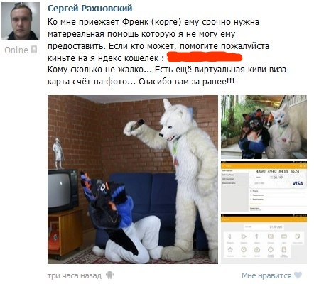 📋 ВКонтакте Сергей Рахновский: «Ко мне приезжает Френк (корге) ему срочно нужна материальная помощь которую я не могу ему предоставить. Если кто может, помогите пожалуйста киньте на яндекс кошелёк: [закрашен]. Кому сколько не жалко... Есть ещё виртуальная киви виза карта счёт на фото... Спасибо вам за ранее!!!» три часа назад. Фото: слева — человек в фурсьюте волка рядом с парнем в комнате с телевизором; справа — скриншот банковской карты VISA (4890 4940 8433 3624).