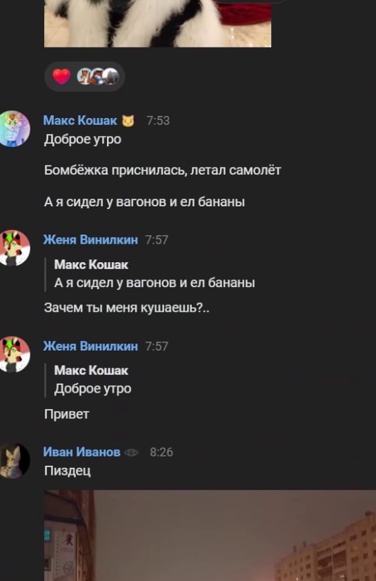 📋 Чат (тёмный фон): «Макс Кошак 🐱» (7:53): «Доброе утро. Бомбёжка приснилась, летал самолёт. А я сидел у вагонов и ел бананы»; «Женя Винилкин»: «Зачем ты меня кушаешь?..»; «Иван Иванов» (8:26): «Пиздец»; ниже — фото ночного города с освещёнными зданиями.