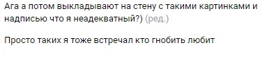 📋 Скриншот комментария: «Ага а потом выкладывают на стену с такими картинками и надписью что я неадекватный?) (ред.)» «Просто таких я тоже встречал кто гнобить любит»