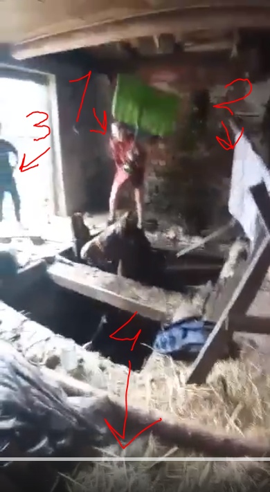 📷 Кадр из видео: деревянный сарай с соломой; красными стрелками отмечены 4 объекта: 1 — человек в красной одежде с зелёным предметом, 2 — светлый предмет у стены, 3 — человек у входа, 4 — синяя сумка на полу.