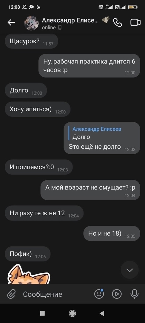 📋 Переписка (12:08): «Александр Елисе... (online)»; «Хочу ипаться)»; «И поипемся?:0»; «А мой возраст не смущает? :р»; «Ни разу те ж не 12»; «Но и не 18)»; «Пофик)»; стикер гиены с надписью «ЧУЖОЕ МНЕНИЕ».