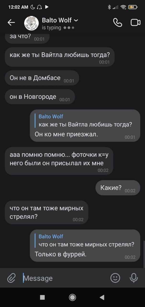 📋 Telegram «Balto Wolf»: «он в Новгороде»; Balto Wolf: «Он ко мне приезжал.»; «что он там тоже мирных стрелял?»; Balto Wolf: «Только в фуррей.»