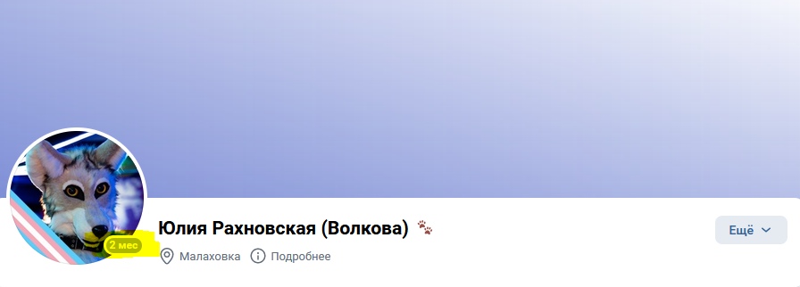 📋 ВКонтакте профиль «Юлия Рахновская (Волкова) 🐾» — аватар с рисунком серо-голубого волка в жёлтом ошейнике с иконкой транс-флага; отметка «2 мес»; местоположение Малаховка; кнопка «Ещё».