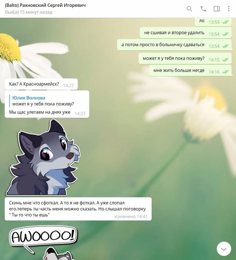 📋 Telegram, переписка с «(Balto) Рахновский Сергей Игоревич». Сообщения: «не сшивая и второе удалить», «а потом просто в больничку сдаваться», «может я у тебя пока поживу?», «мне жить больше негде»; ответ: «Как? А Красноармейск?»; цитата Юлии: «может я у тебя пока поживу?» — ответ: «Мы щас улетаем на днях уже»; сообщение (14:41): «Скинь мне что сфоткал. А то я не фоткал. А уже слопал его. теперь ты часть меня. Но слышал поговорку «Ты то что ты ешь»»; стикер «AWOOOO!» с воющим волком.