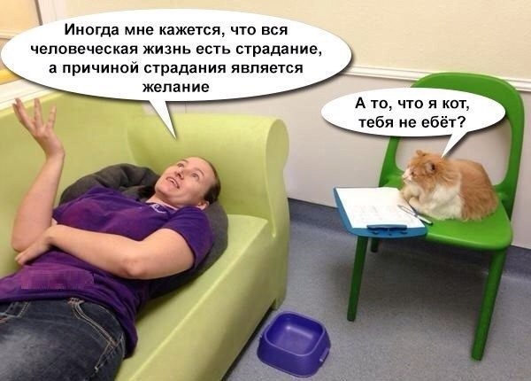 Мем: мужчина лежит на зелёной кушетке и говорит «Иногда мне кажется, что вся человеческая жизнь есть страдание, а причиной страдания является желание»; рыжий кот сидит на стуле с блокнотом (в роли психолога) и отвечает «А то, что я кот, тебя не ёбёт?»
