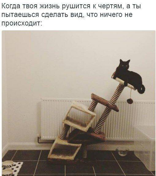 Мем: вверху текст «Когда твоя жизнь рушится к чертям, а ты пытаешься сделать вид, что ничего не происходит:»; внизу — фото чёрного кота, невозмутимо лежащего на верхней площадке кошачьей когтеточки, которая сильно наклонилась и падает; на заднем плане белая стена и радиатор отопления